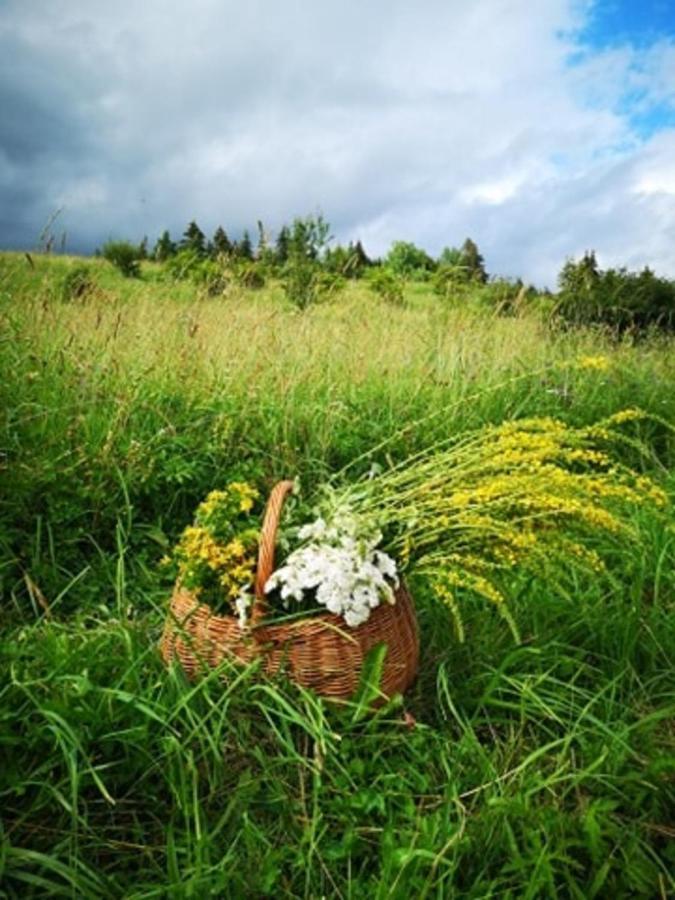 Ubytovanie Pod Homolkou Jamník Buitenkant foto